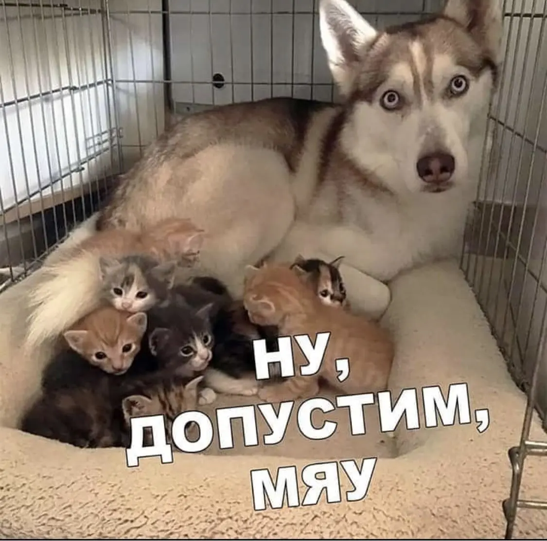 Эффект Золушки:Почему попытки «вписаться»в культуру компании | Сетка — социальная сеть от hh.ru