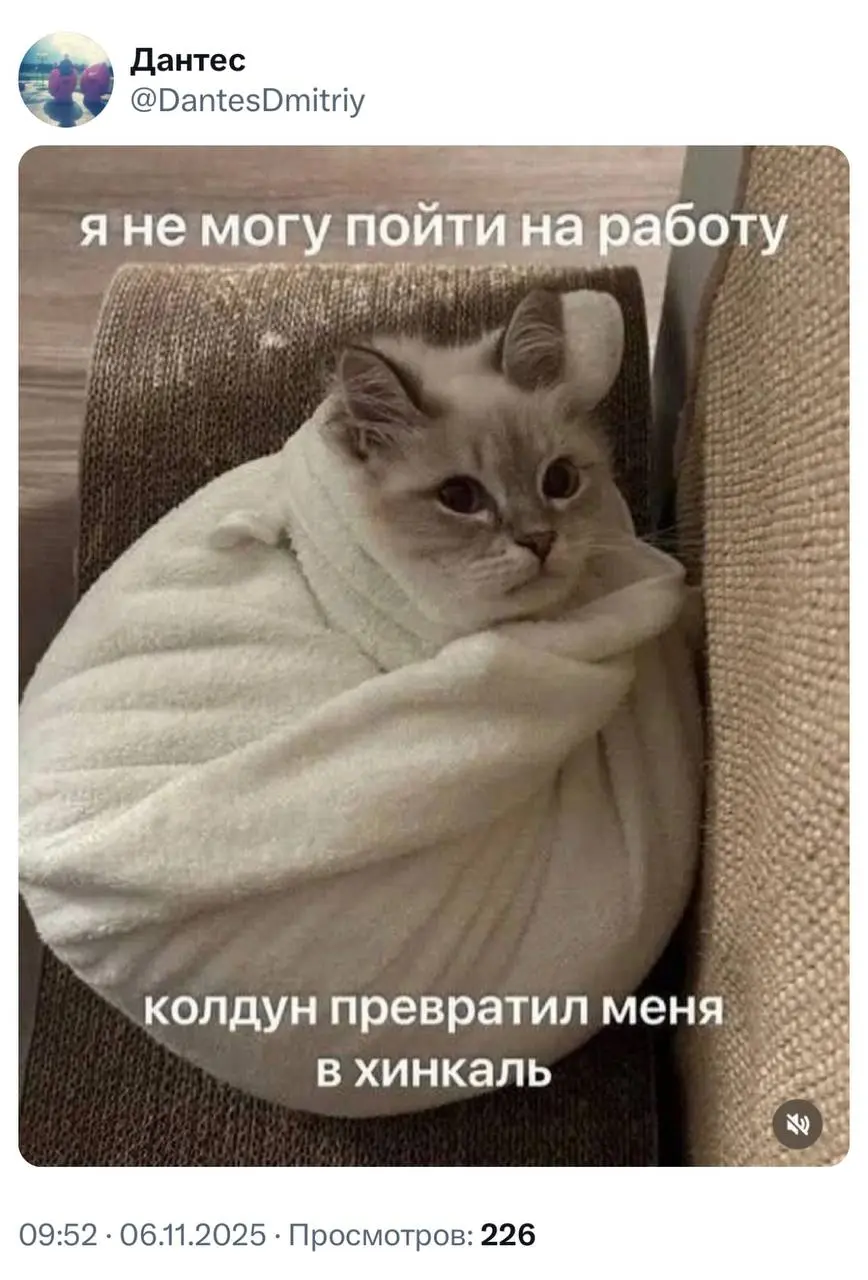 Звучит убедительно, нужно потестить на начальстве 🤩 | Сетка — социальная сеть от hh.ru
