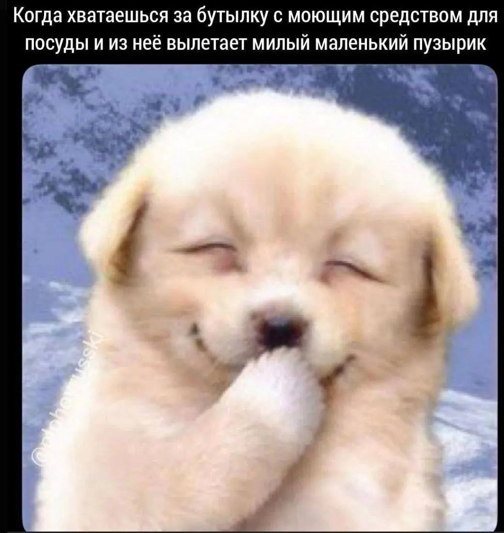 Доброго утра) | Сетка — социальная сеть от hh.ru
