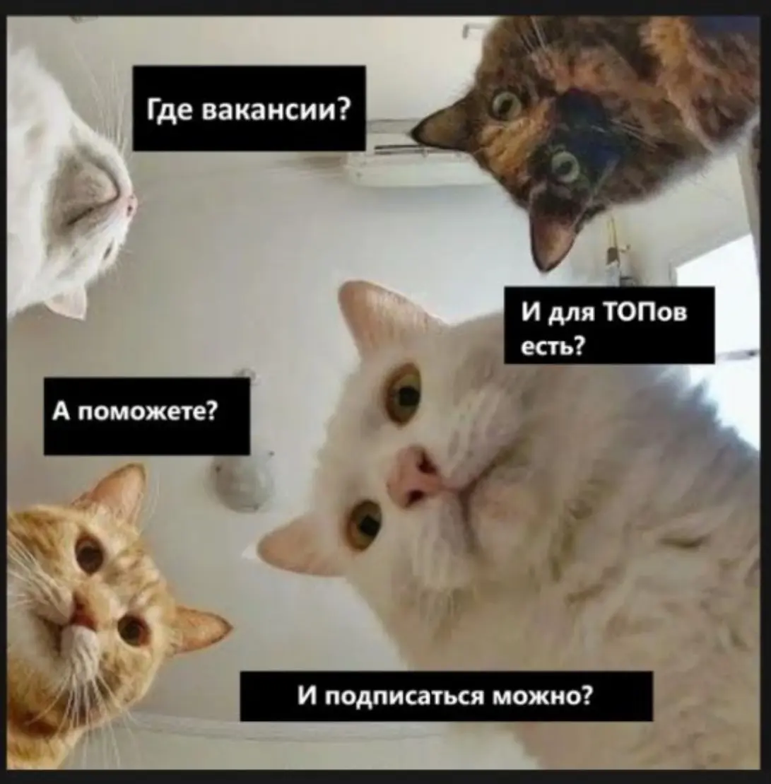 Пятничный юмор | Сетка — социальная сеть от hh.ru