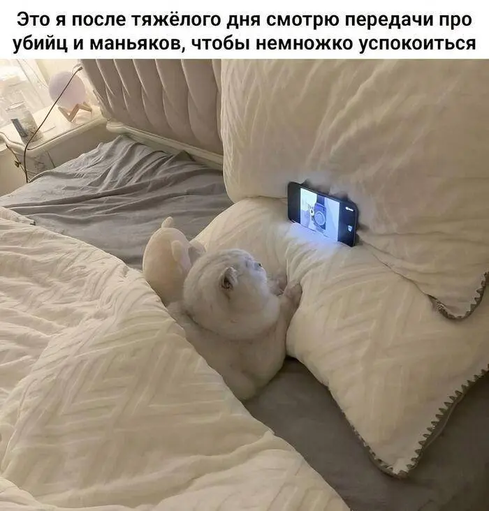 #Мем этой короткой, но очень эмоциональной недели😂 | Сетка — социальная сеть от hh.ru
