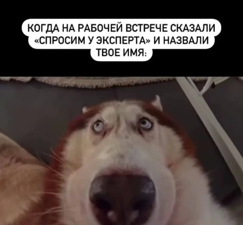 Мемная пятница 🤡
Жду вас в комментах 👌 | Сетка — социальная сеть от hh.ru