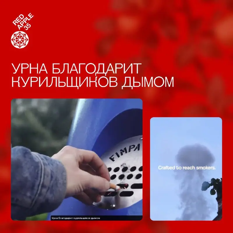 Спелый урожай с креативной грядки 🔥
В рубрике #ЧтоУНасВСаду — самые сочные и неожиданные кейсы за последний месяц. Ценники на эмбрионы, нетворкинг в пабах, урны, выпускающие дым и уточный король | Сетка — социальная сеть от hh.ru