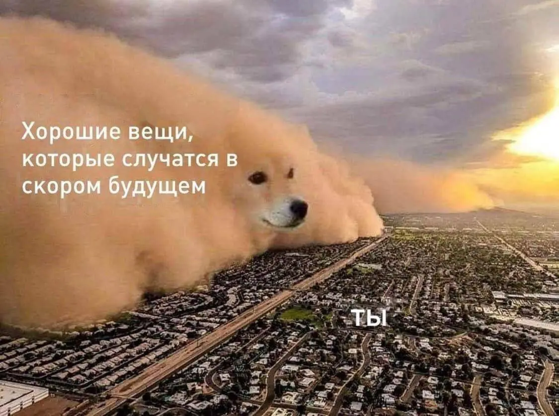 Короткая неделя, спасибо конечно.
Сил у меня по итогу ноль, планы выполнены не на 100%
Ну и предсказываю ваши ближайшие двое суток | Сетка — социальная сеть от hh.ru