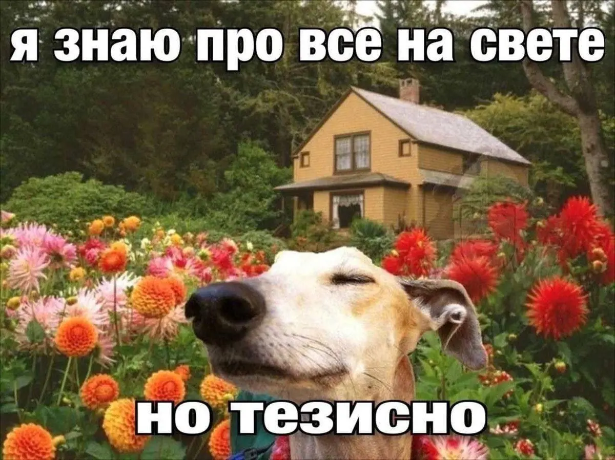 У каждой команды есть свои ритуалы. Кто-то собирается по пятницам подводить итоги спринта, кто-то — разбирать демо‑баги, а у нас — своя, особенная традиция | Сетка — социальная сеть от hh.ru