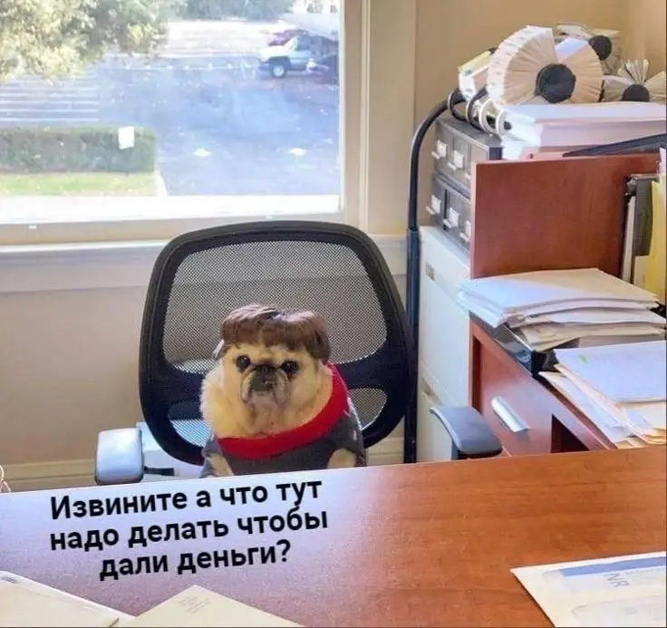 Где деньги? | Сетка — социальная сеть от hh.ru