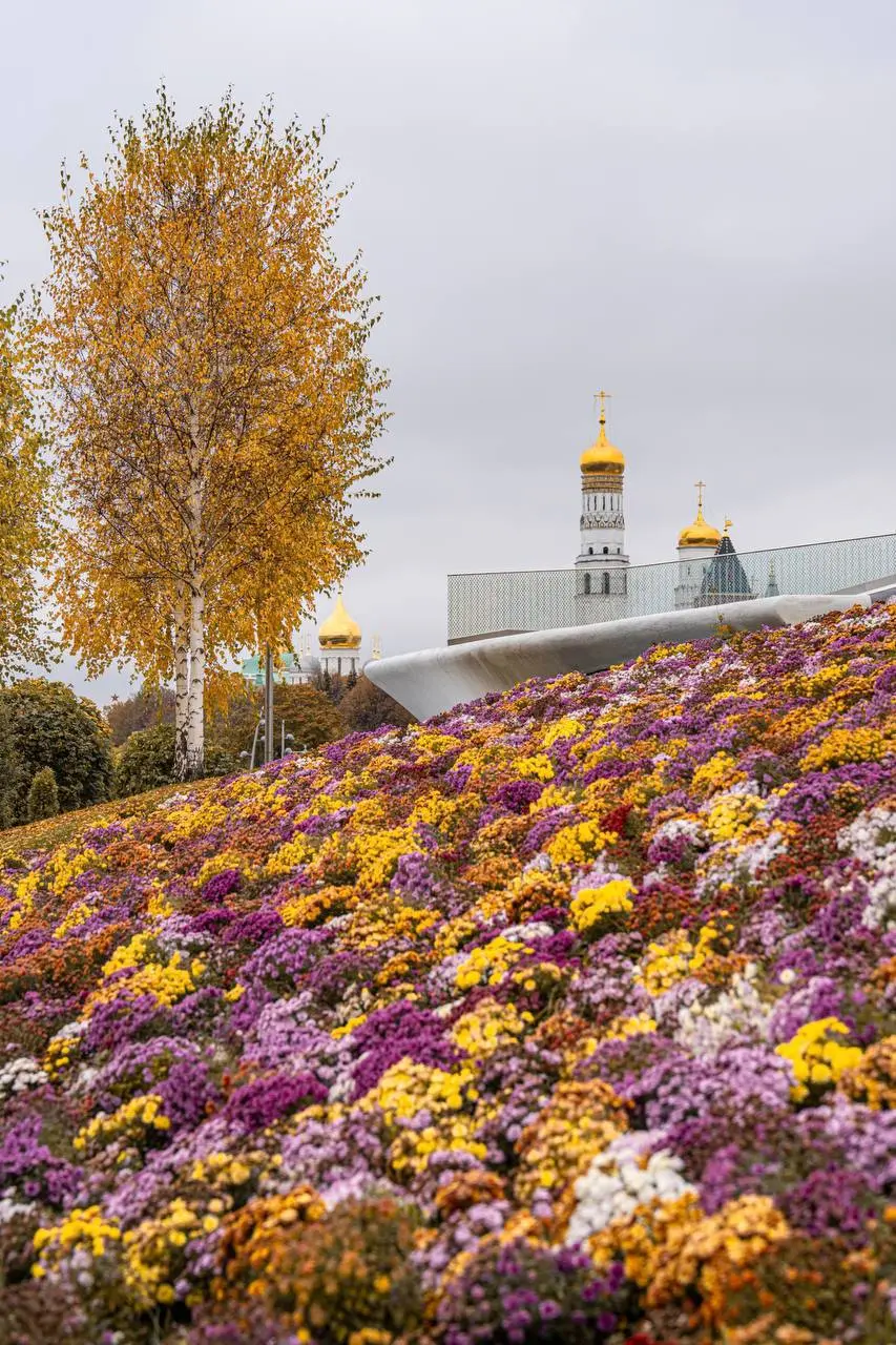 🍂Прекрасная осень в Зарядье
❤️ — Если любите осень
📲Подпишитесь на Вдвижении
#бесплатно
В этом посте были ссылки, но мы их удалили по правилам Сетки | Сетка — социальная сеть от hh.ru