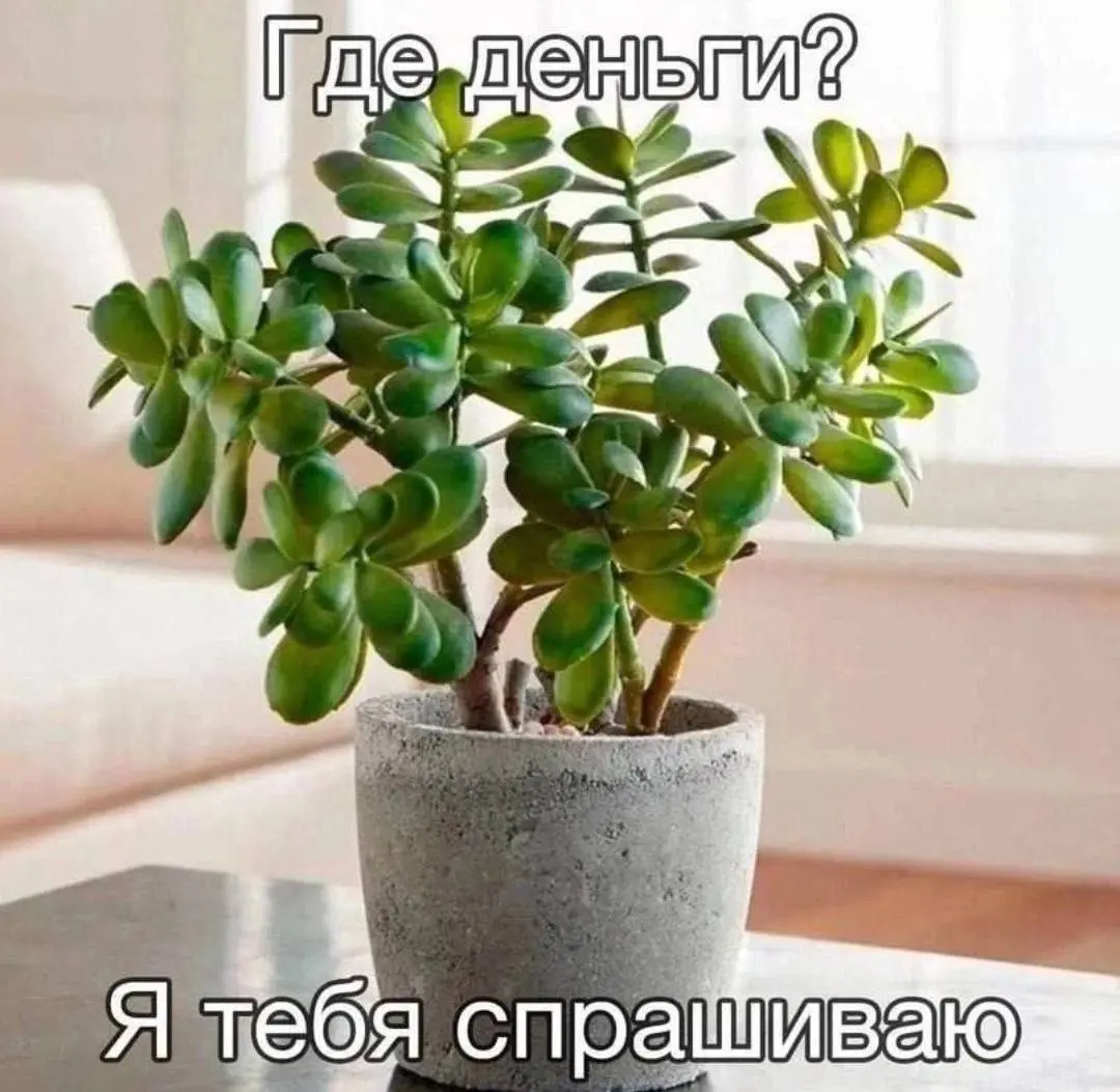 Главный виноватый 😂😂😂
#Юмор@poldner | Сетка — социальная сеть от hh.ru