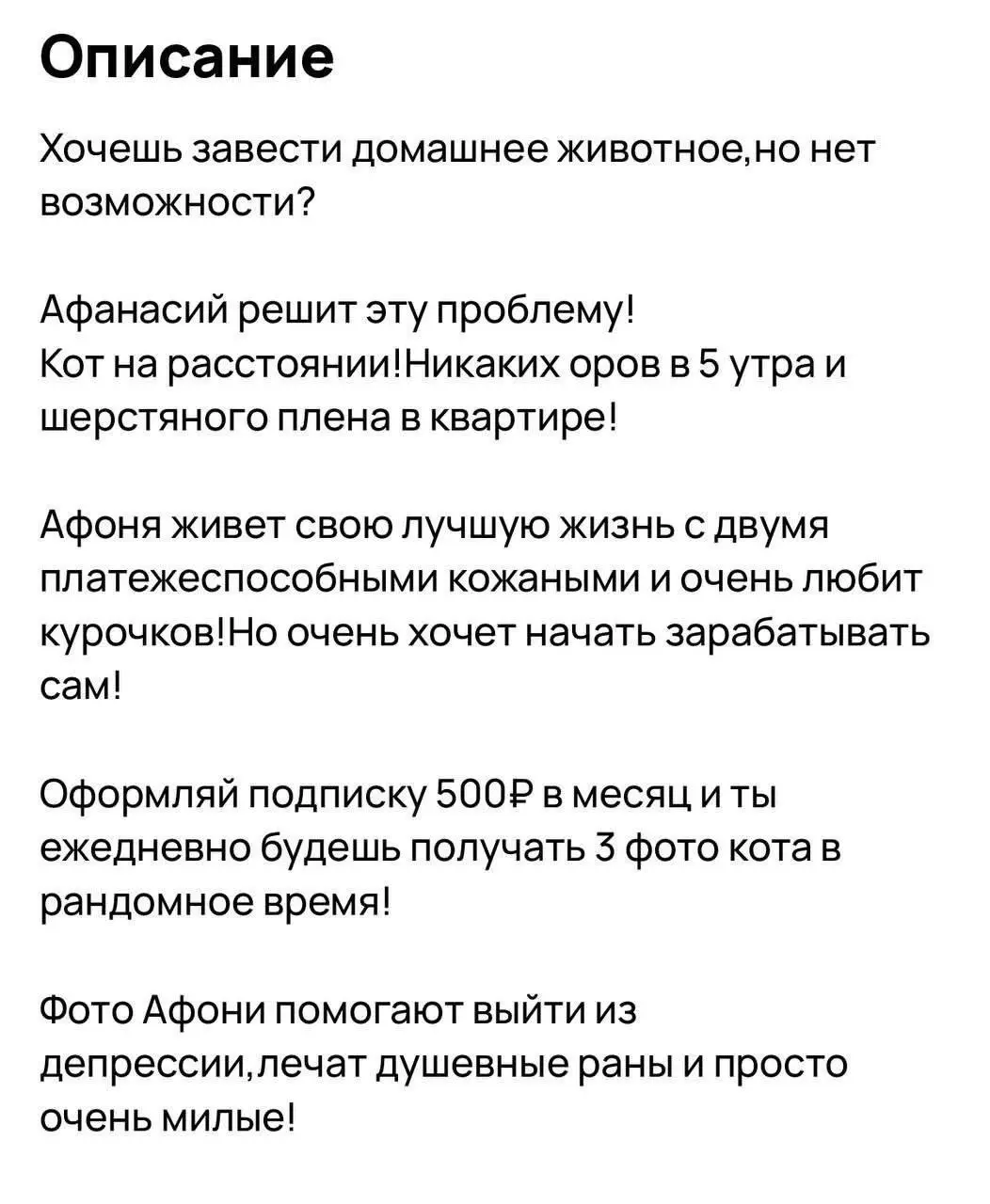 В Москве всё больше набирает популярность услуга «кот на расстоянии»
Владельцы животных предлагают фото и видео со своими питомцами, некоторые даже готовы записывать персональное мурлыкание
#История@p... | Сетка — социальная сеть от hh.ru