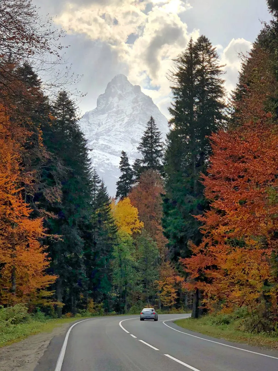 😍 Дорога в осень в Домбае
📸 @artemmeletov | Сетка — социальная сеть от hh.ru