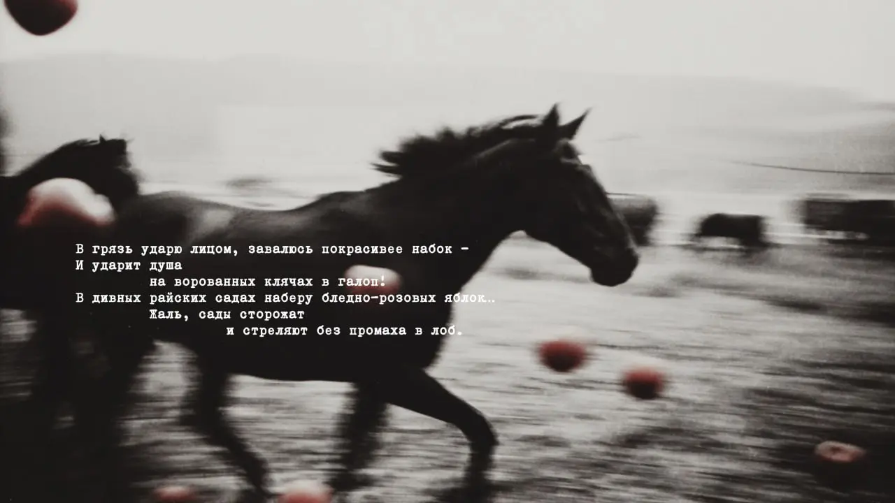 Люблю стихотворения.
Люблю, наверное, за то, как одно четверостишие может распороть меня пополам. И за то, как кто-то однажды смог сказать так, как я никогда не смогу | Сетка — социальная сеть от hh.ru