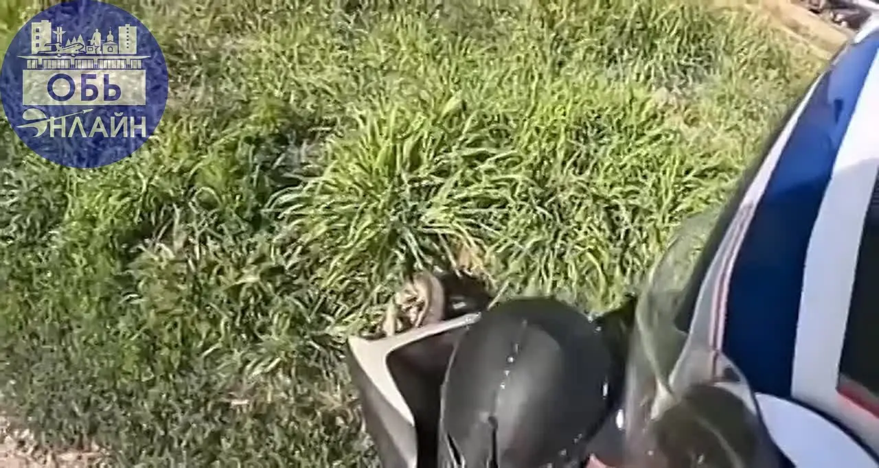 ↗ В√ебстый Дристбайкер из Оби когда его поймали🤣🤣🤣
vk.ru
Подробнее на https://vk.com/ob.gorod
#городобь #городобьонлайн #толмачево | Сетка — социальная сеть от hh.ru