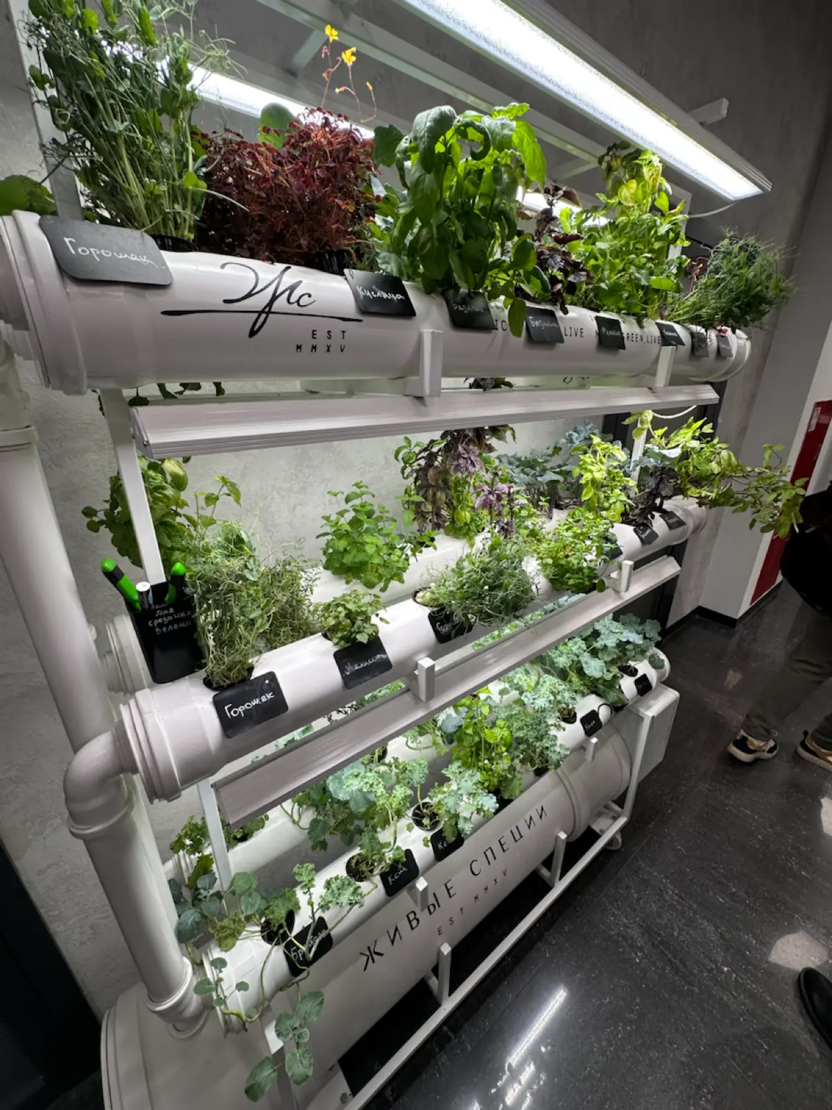 Вчера побывал на митапе для PMM и PM от «Немного продакт» | Сетка — социальная сеть от hh.ru