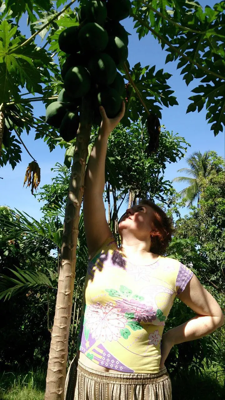 🌴 ТАЙСКИЙ ДОМ И ОКРЕСТНОСТИ
Наконец, приехали к дому. Он довольно большой, 2 уровня. Все жилое наверху. Нас встретили 2 собаки неопознанной породы. Между прочим, одна из них за месяц двух змей поймала | Сетка — социальная сеть от hh.ru
