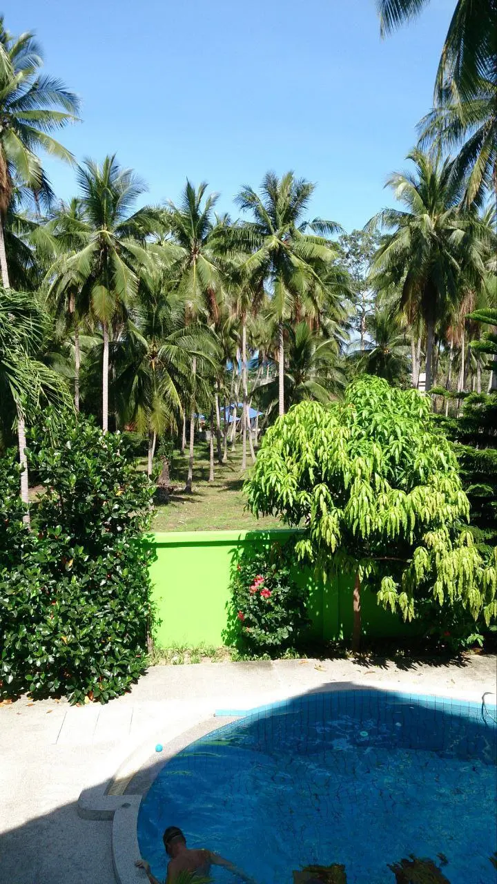 🌴 ТАЙСКИЙ ДОМ И ОКРЕСТНОСТИ
Наконец, приехали к дому. Он довольно большой, 2 уровня. Все жилое наверху. Нас встретили 2 собаки неопознанной породы. Между прочим, одна из них за месяц двух змей поймала | Сетка — социальная сеть от hh.ru
