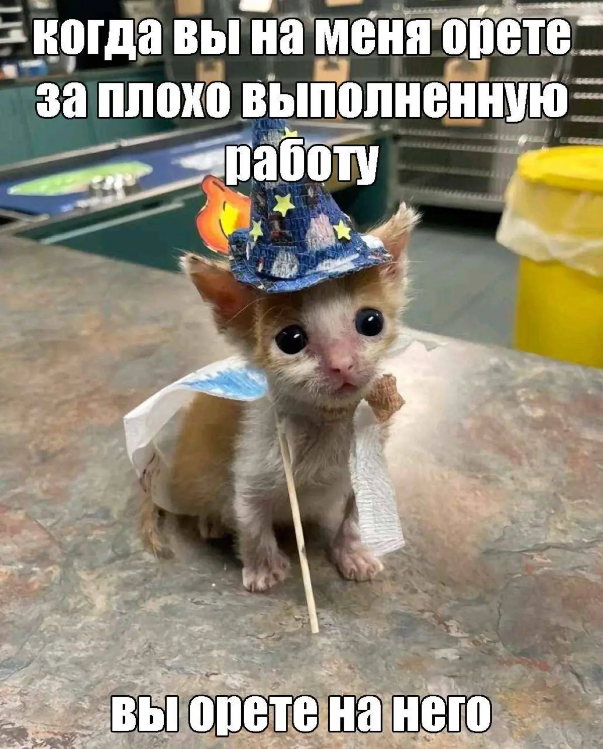 Здравствуйте | Сетка — социальная сеть от hh.ru