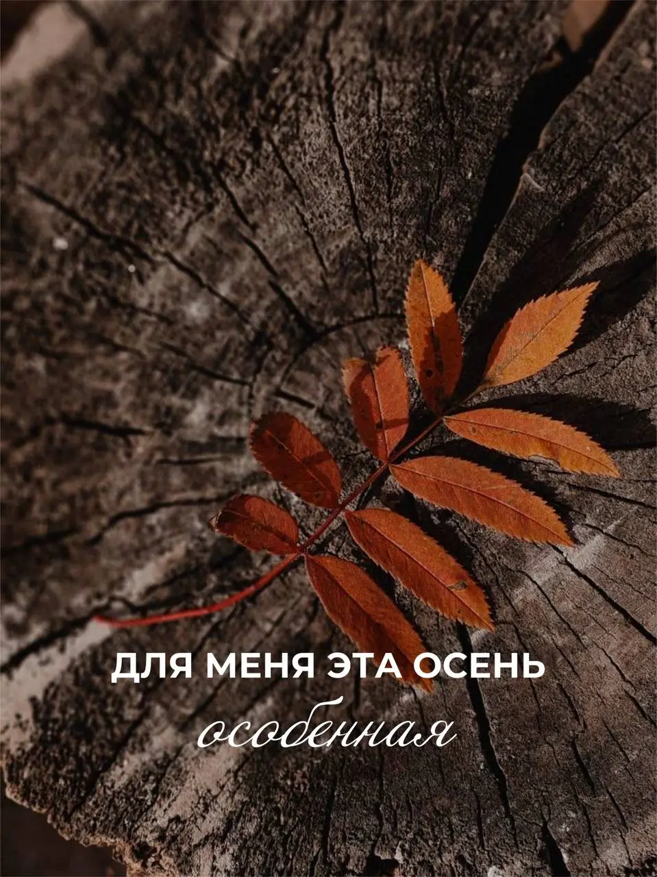 Она заставляет много думать, вспоминать, размышлять, философствовать.. А как у вас?
Доброе утро ❤️ | Сетка — социальная сеть от hh.ru