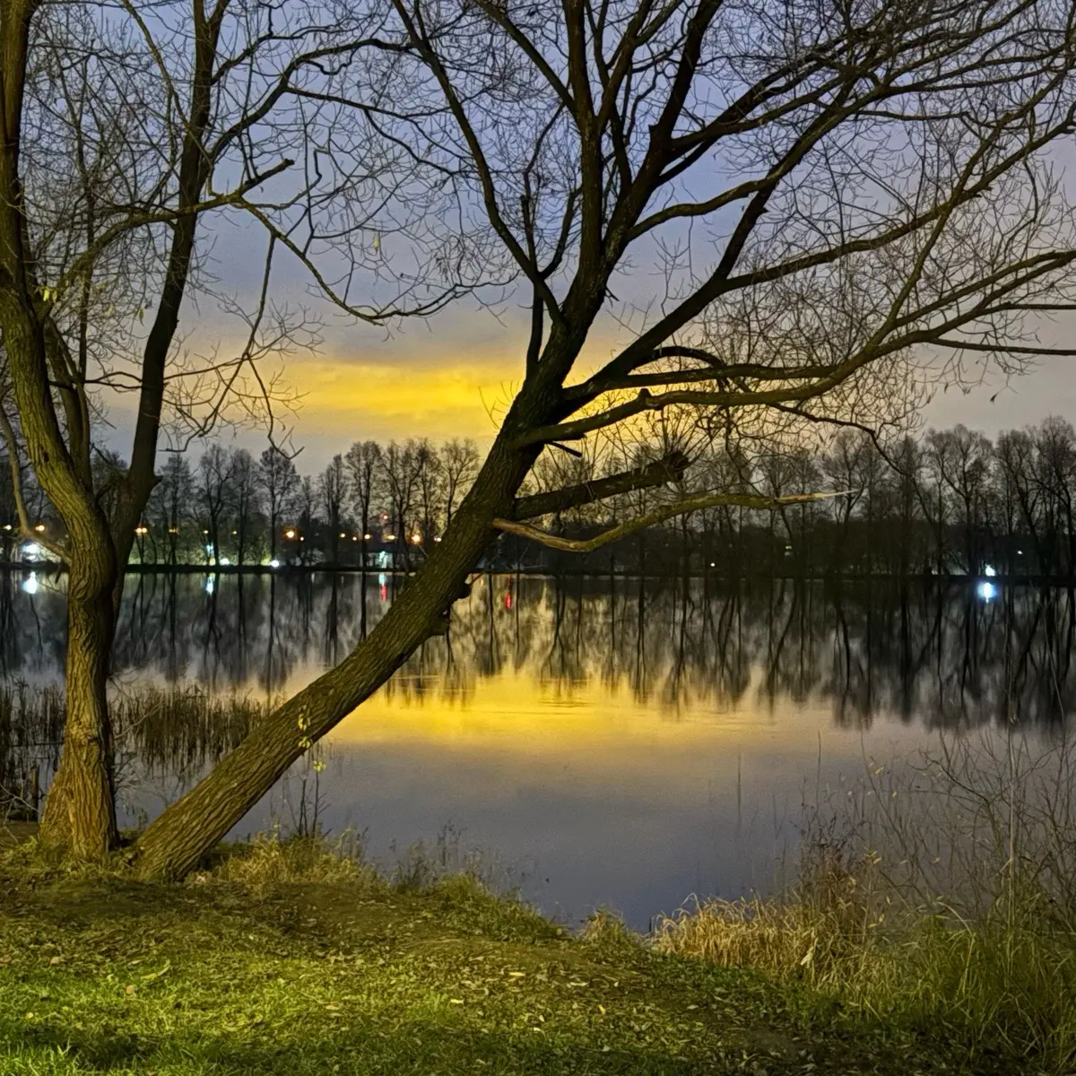 Оксана Дж | Сетка — социальная сеть от hh.ru