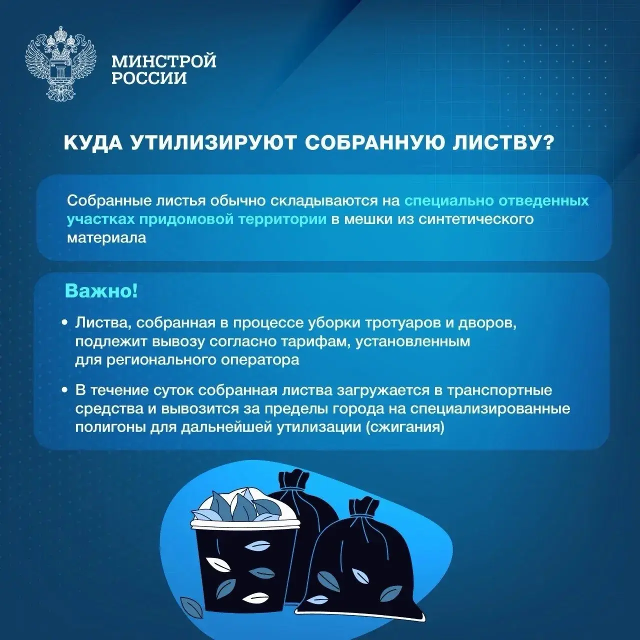 🌿 Уборка листвы во дворах многоквартирных домов является не только эстетической задачей, но и важной мерой для поддержания комфорта и безопасности жителей | Сетка — социальная сеть от hh.ru