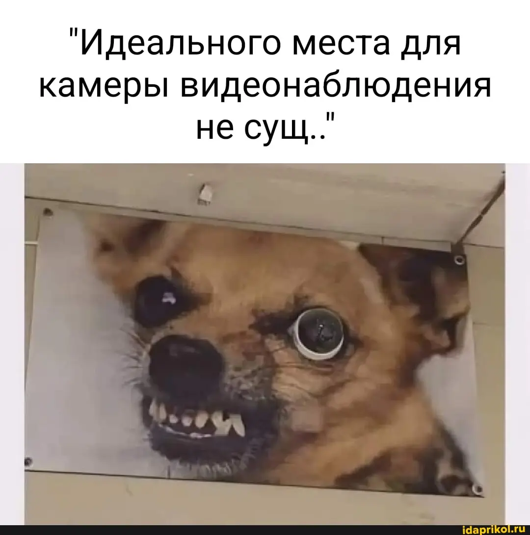На кукис надейся
А вы знали, что когда пользователь нажимает на кнопку согласия с обработкой кукис, вам нужно хранить записи об этом событии? То есть, реально нужно вести журнал, в котором будет запис... | Сетка — социальная сеть от hh.ru