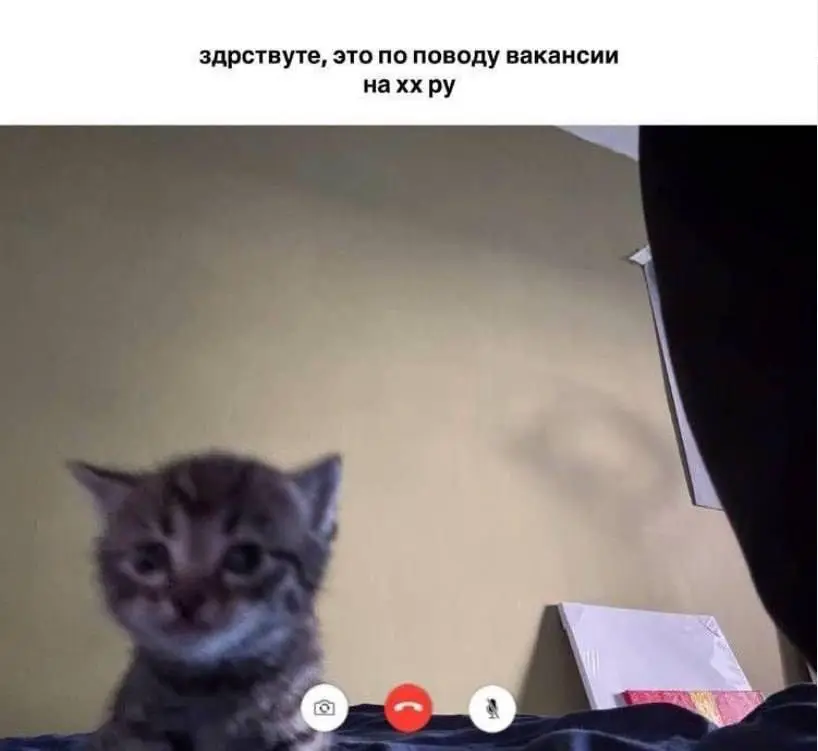 муд | Сетка — социальная сеть от hh.ru