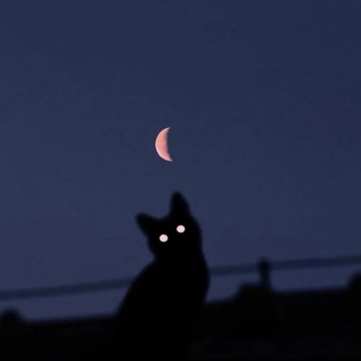 Екатерина Федорова