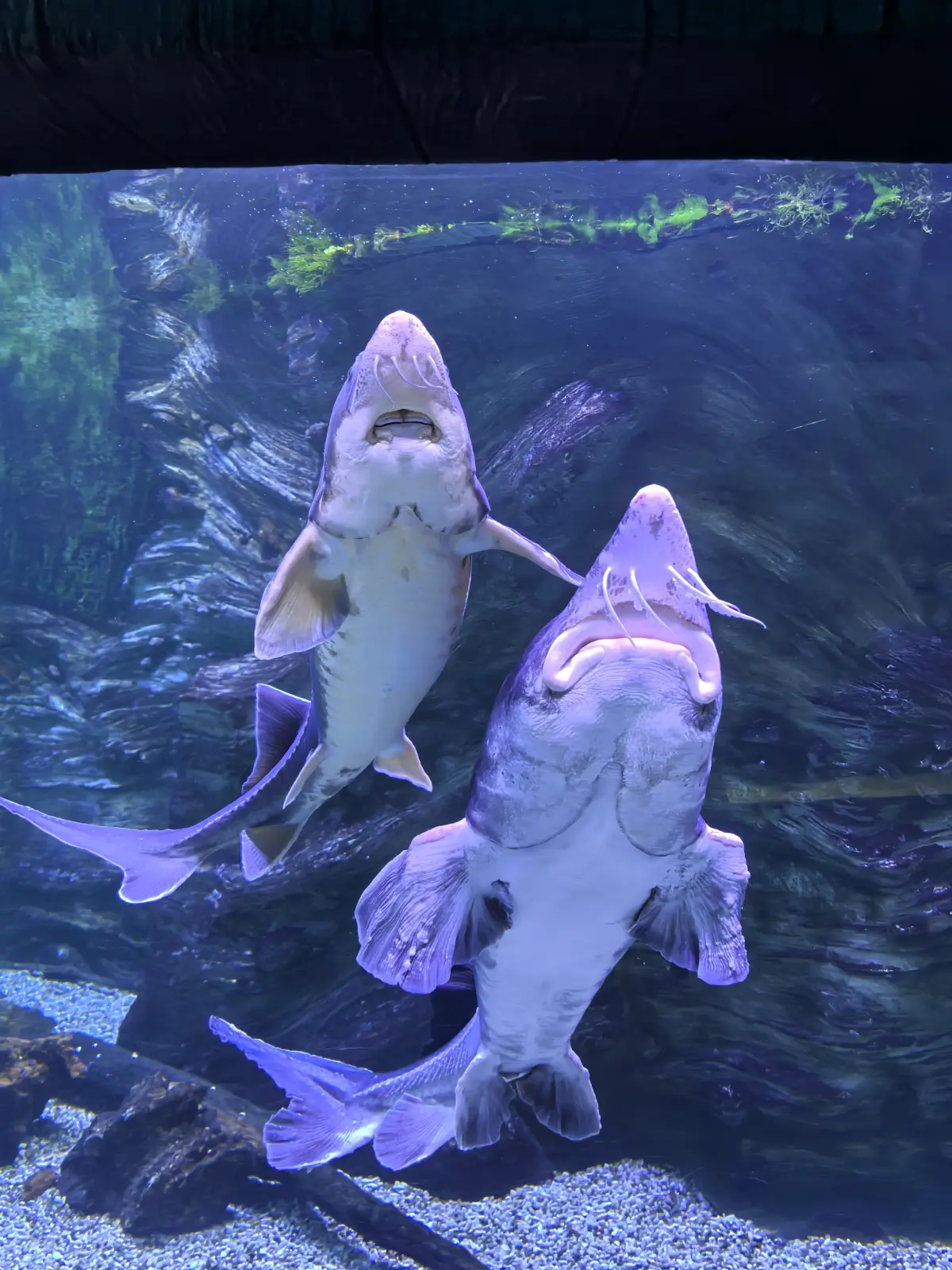 Так кто же они — враги или друзья? | Сетка — социальная сеть от hh.ru