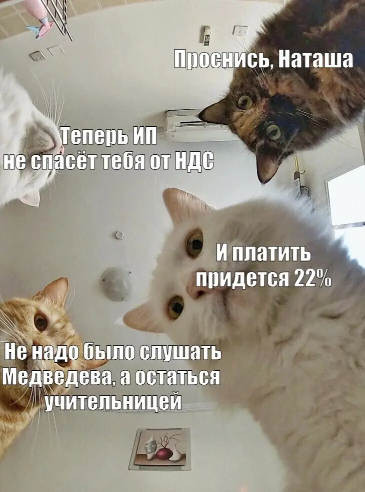 Тут объявили новые правила российской упрощенки. Они, видимо, уже финальные, можно обсудить - считает Александр Горный | Сетка — социальная сеть от hh.ru