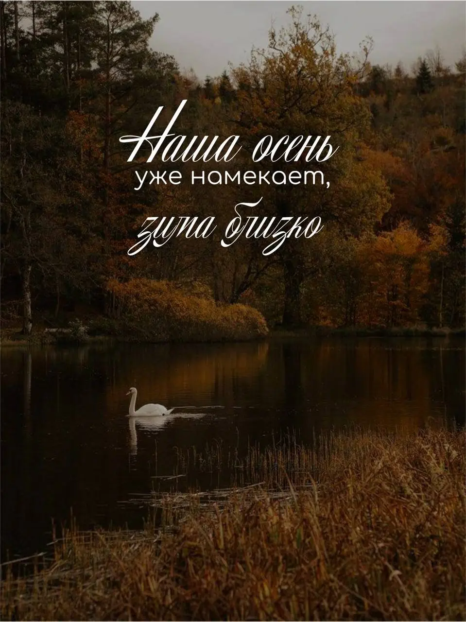 Доброе утро! Отличного вам понедельника ❤️ | Сетка — социальная сеть от hh.ru