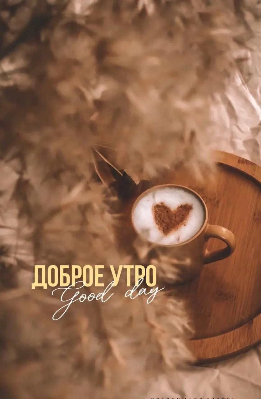 Всем доброе утро и хорошего дня!☕️ | Сетка — социальная сеть от hh.ru