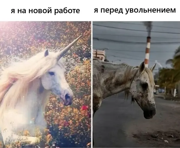 Как вовремя уходить? | Сетка — социальная сеть от hh.ru