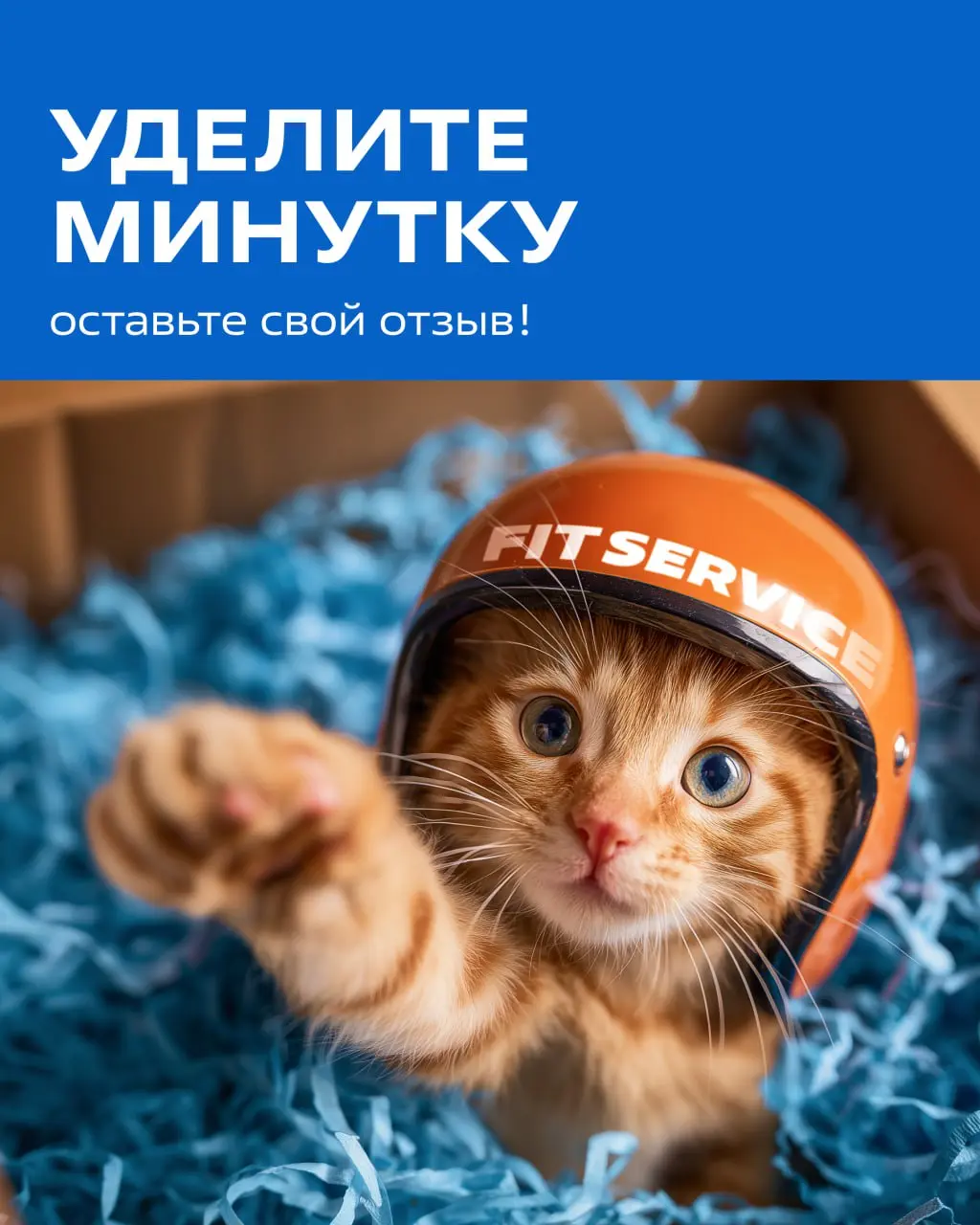 Ваше мнение важно для нас ⚡️Коллеги, просим вас принять участие в формировании нашего рейтинга FIT SERVICE в ВК ➡️ https://vk | Сетка — социальная сеть от hh.ru