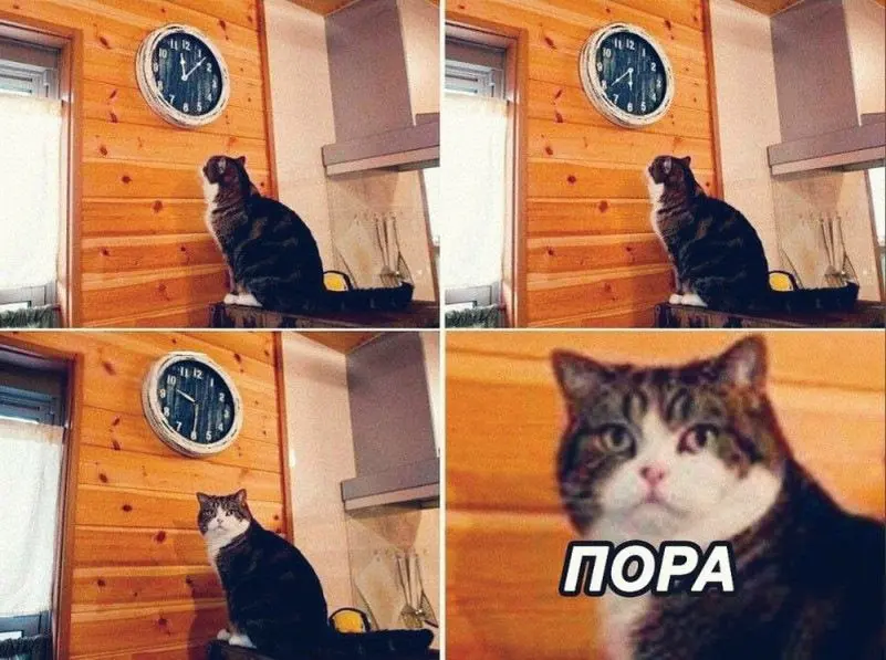 Тревожники все тут? | Сетка — социальная сеть от hh.ru