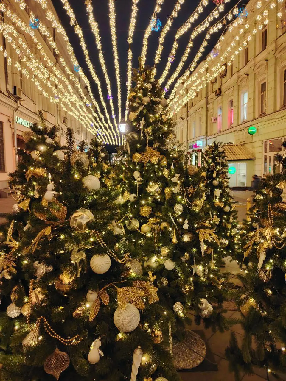 🎄На улице Рождественка появились новогодние декорации
📲Подпишитесь на Вдвижении
#бесплатно
В этом посте были ссылки, но мы их удалили по правилам Сетки | Сетка — социальная сеть от hh.ru
