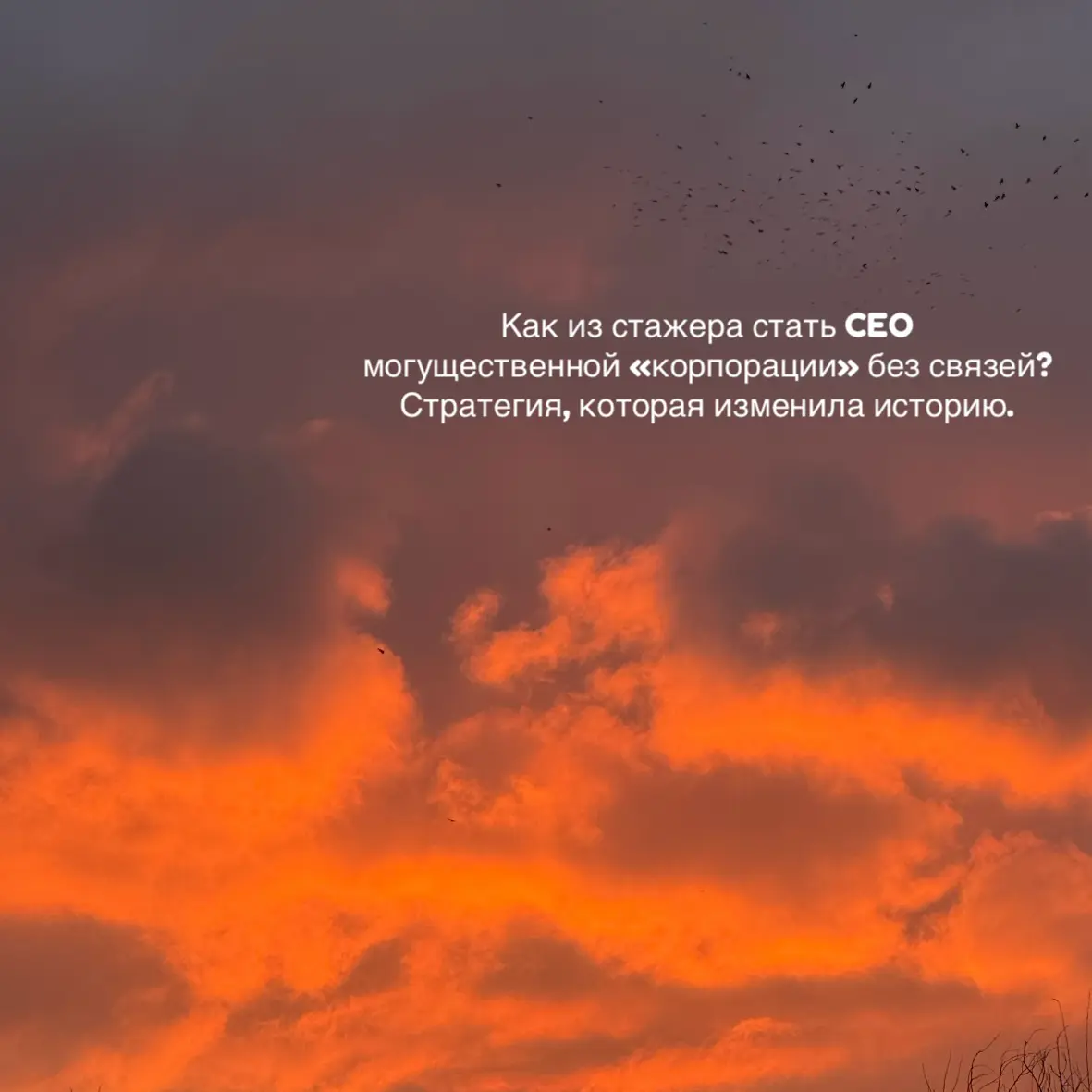 Как из стажера в CEO могущественной корпорации без связей | Сетка — социальная сеть от hh.ru
