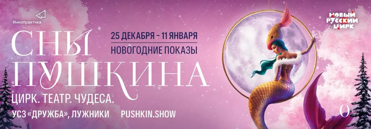 «Сны Пушкина» новогоднее корпоративное предложение. | Сетка — социальная сеть от hh.ru