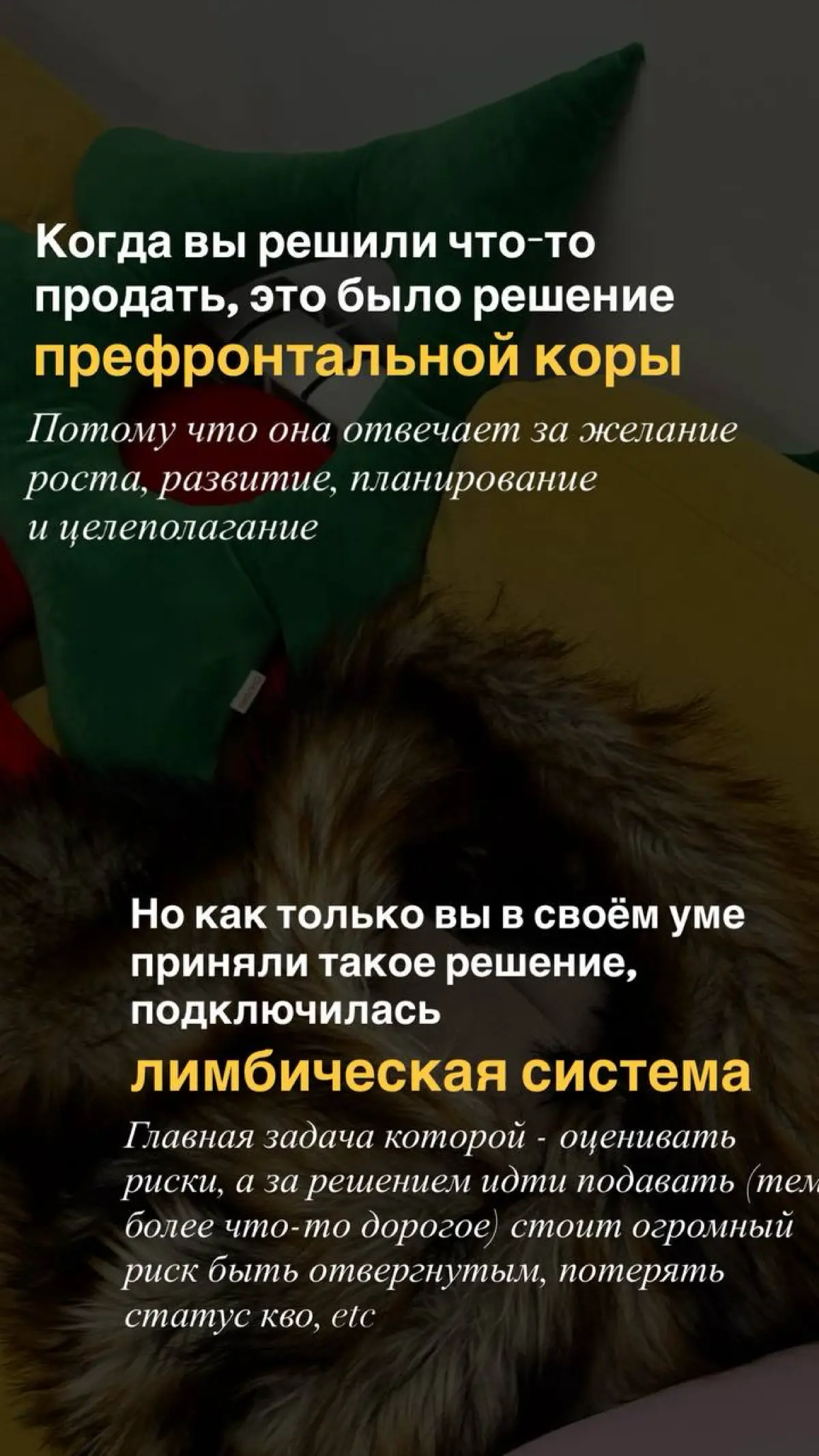 Хотите расскажу, почему вы всеми возможными способами саботируете действия в сторону развития? Начать продавать/делать контент/собрать наконец своё портфолио, etc
Потому что в вашей голове происходит ... | Сетка — социальная сеть от hh.ru