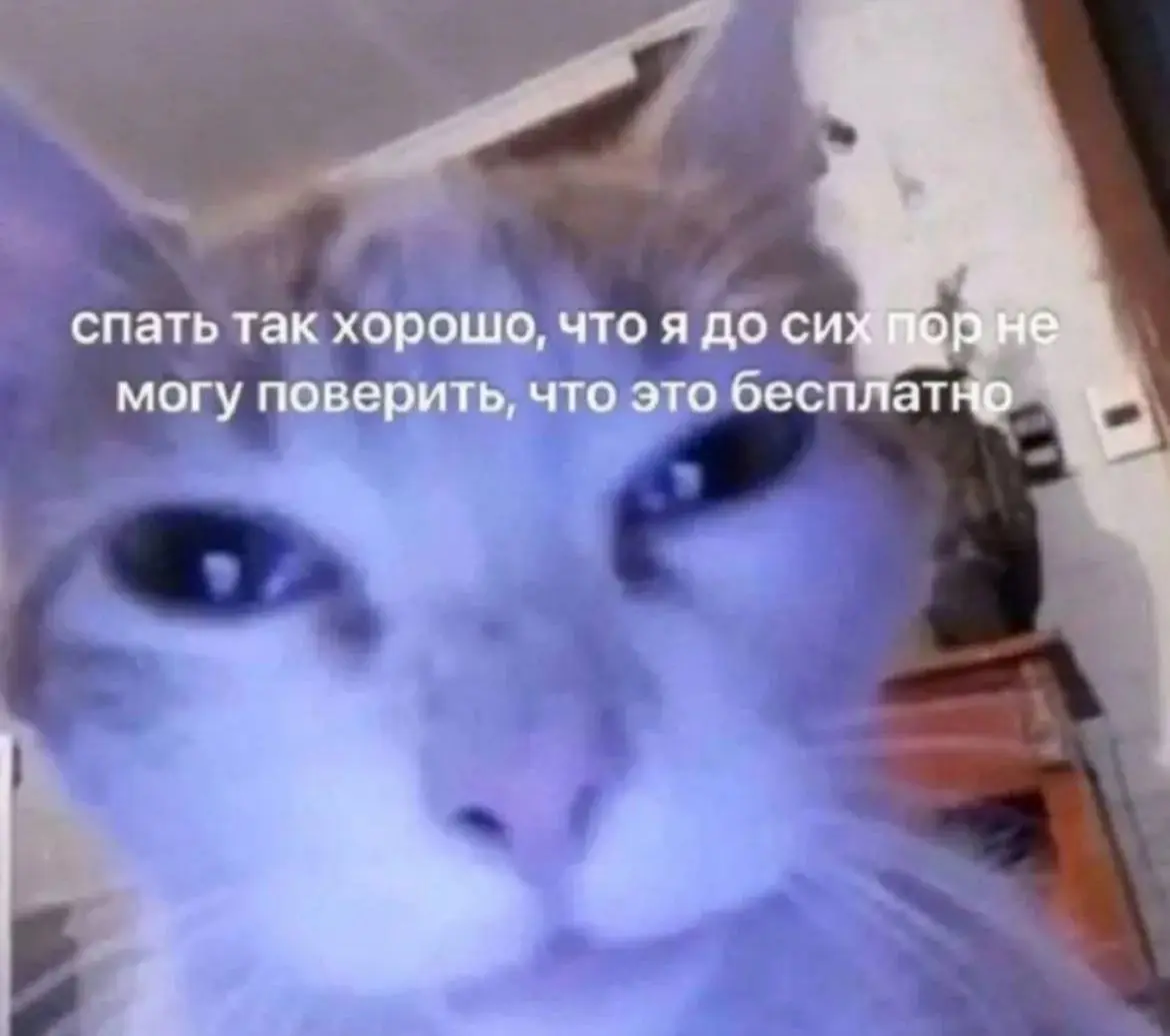 День 71
🔤 завтракала сырниками
🔤 занималась Английским
🔤 занималась с психологом
🔤 чуточку убиралась
🔤 грузила контент на сток
🔤 представляла, как буду рисовать
🔤 получала комплименты
🔤 снимала контен... | Сетка — социальная сеть от hh.ru