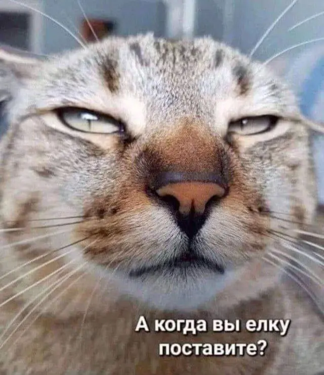 Часики то тикают 😂😂😂
#Юмор@poldner #Коты@poldner | Сетка — социальная сеть от hh.ru