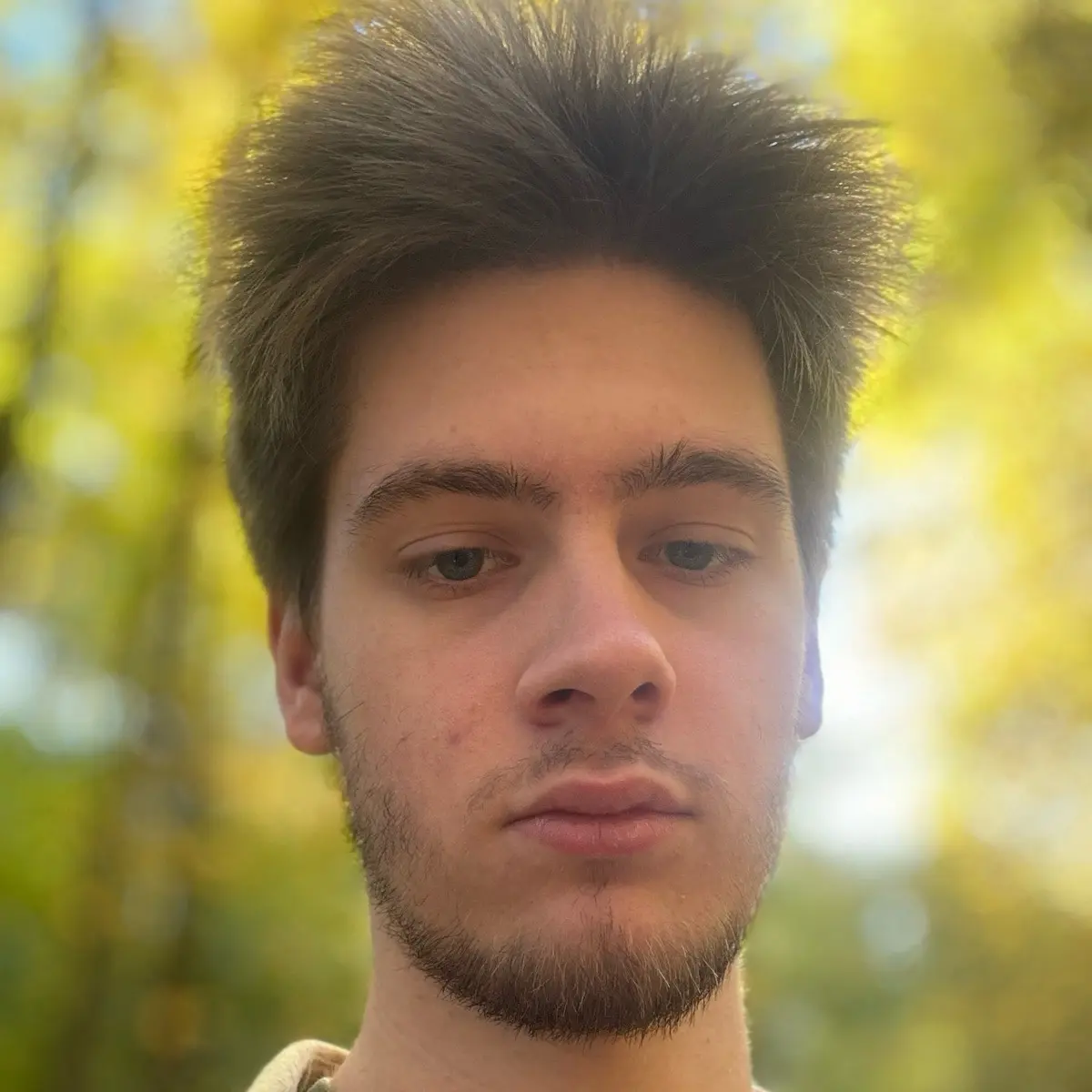 Алексей Арсюткин | Сетка — социальная сеть от hh.ru