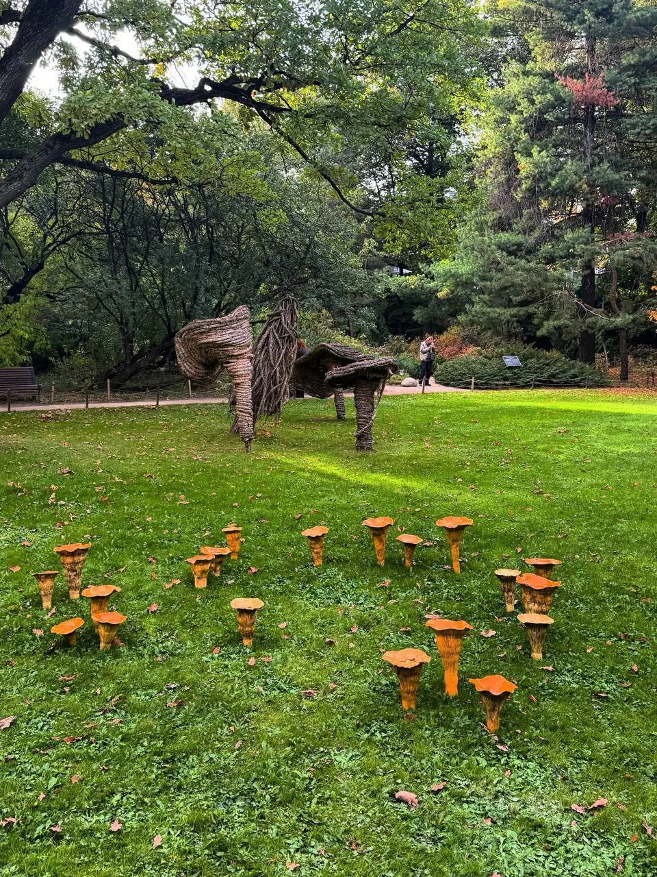 🍄‍🟫В «Аптекарском огороде проходит выставка «Грибное место»
Ежедневно с 10:00 до 20:00
До 30ноября
На выставкепредставлены керамические грибы — от знакомых белых и лисичек до фантазийных гигантов и «в... | Сетка — социальная сеть от hh.ru
