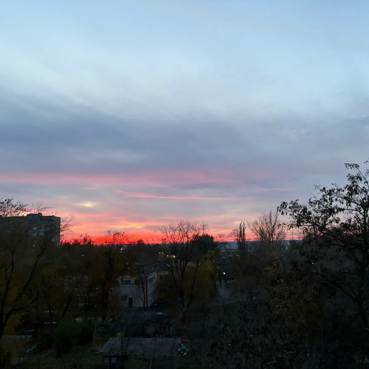 Дарья Просвиркина
