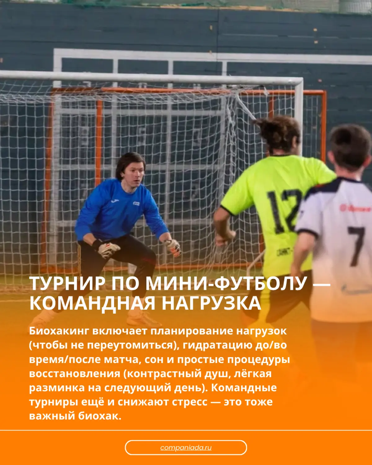Биохакинг от выгорания | Сетка — социальная сеть от hh.ru
