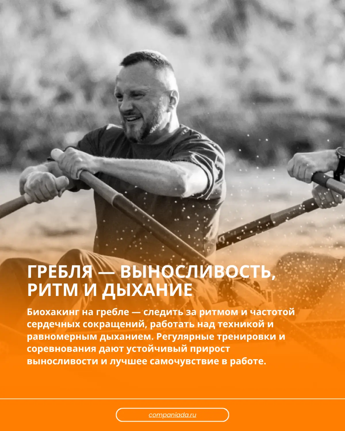 Биохакинг от выгорания | Сетка — социальная сеть от hh.ru