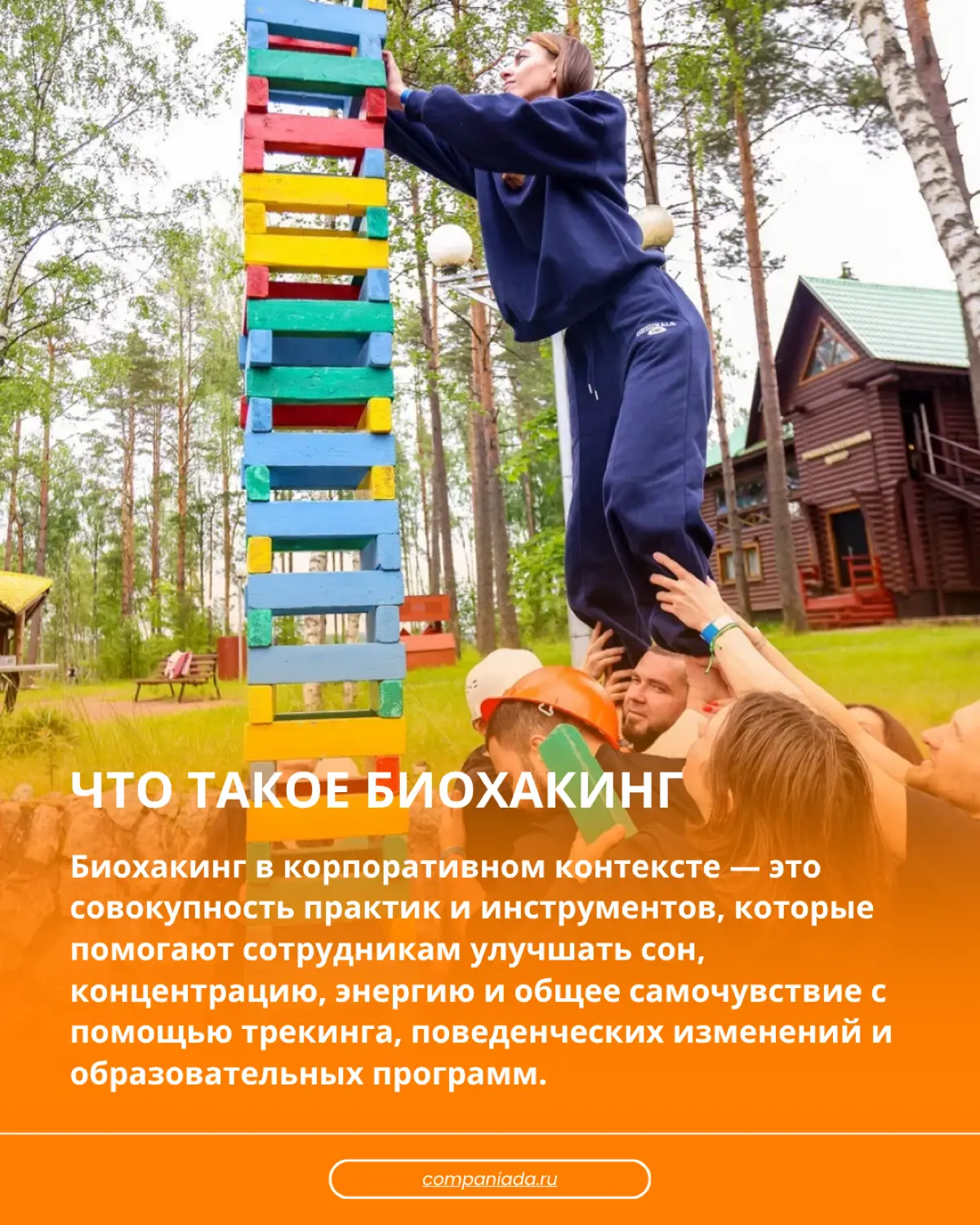 Биохакинг от выгорания | Сетка — социальная сеть от hh.ru