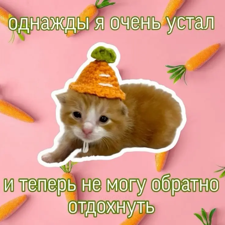 Информационная усталость | Сетка — социальная сеть от hh.ru