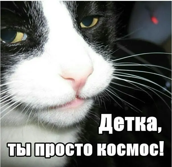 А у вас также?:) | Сетка — социальная сеть от hh.ru