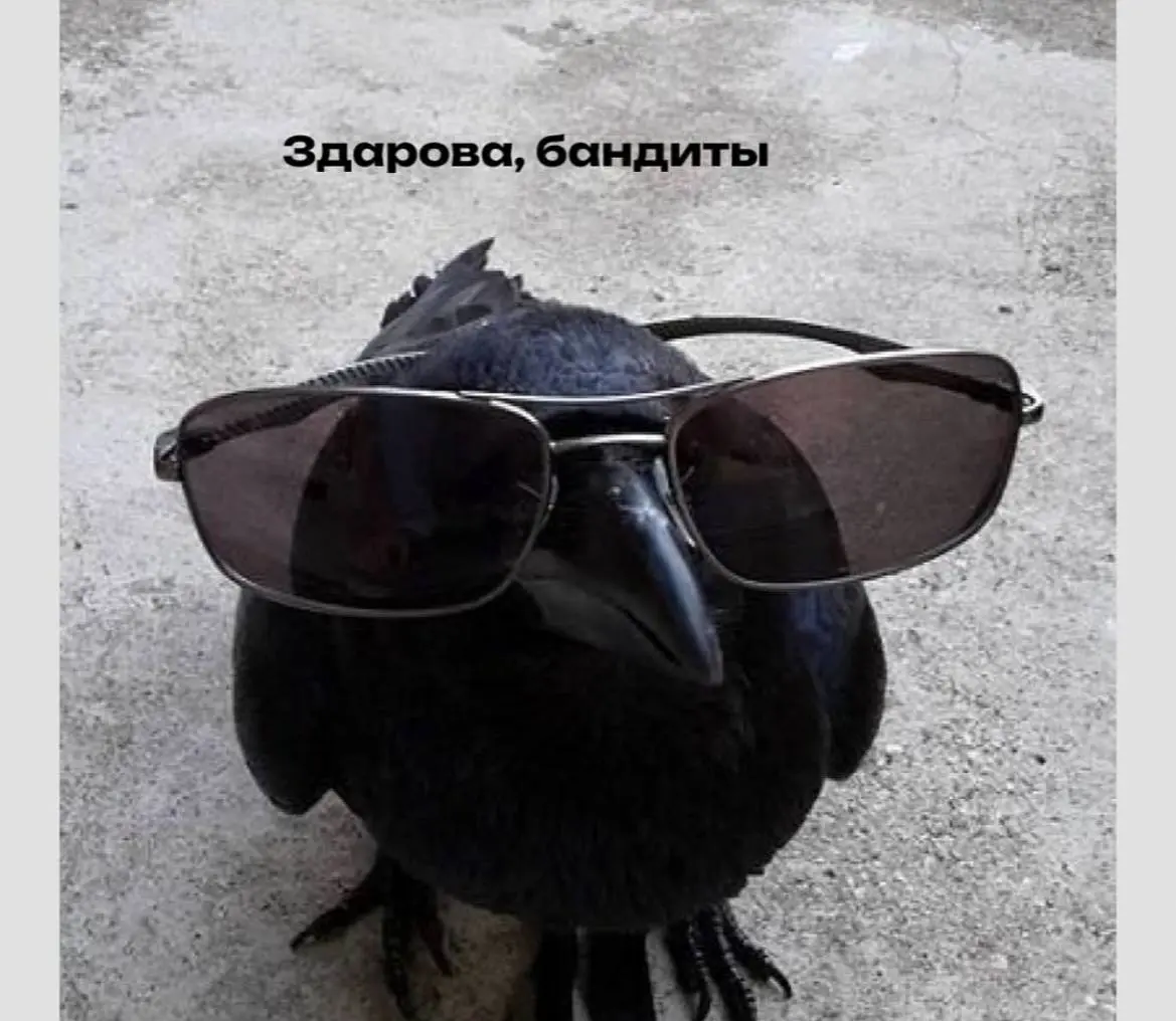 День 72
🔤 пили кофе за окончание сезона образовательных программ
🔤 читала
🔤 чуточку была экспертом
🔤 смотрела выступления по ИТ и делала заметки | Сетка — социальная сеть от hh.ru