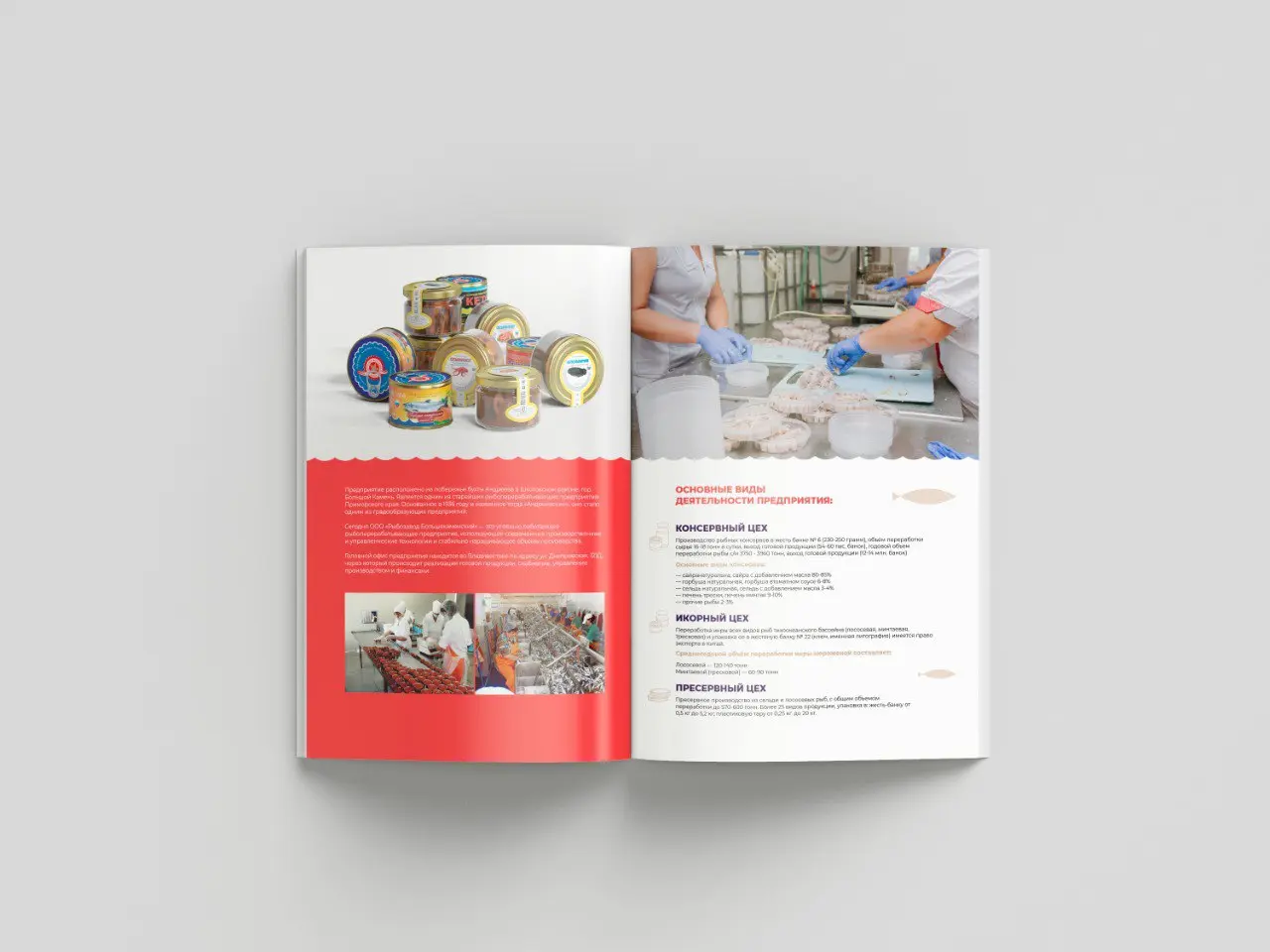 🖼 «Как мы создали презентацию и каталог для рыбозавода — от моря до стола»
ООО «Рыбозавод Большекаменский» — ведущий производитель рыбной продукции на Дальнем Востоке с высокими стандартами качества и... | Сетка — социальная сеть от hh.ru