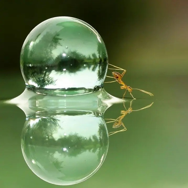 #Саморазвитие | Самодисциплина: что это на самом деле
Самодисциплина – это не про мотивацию или вдохновение | Сетка — социальная сеть от hh.ru